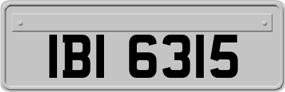 IBI6315