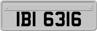 IBI6316