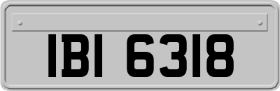 IBI6318