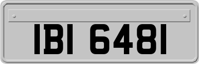 IBI6481