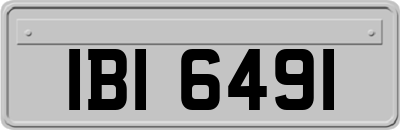 IBI6491