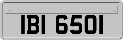 IBI6501