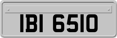 IBI6510