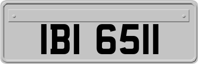 IBI6511