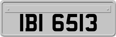 IBI6513