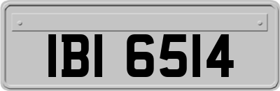 IBI6514