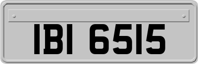 IBI6515