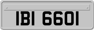 IBI6601