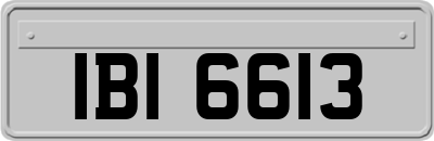 IBI6613