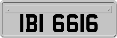 IBI6616