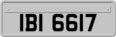 IBI6617