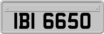 IBI6650