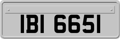 IBI6651