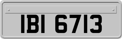 IBI6713