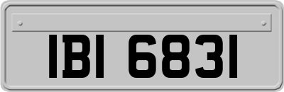 IBI6831