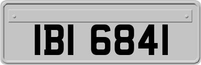 IBI6841