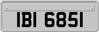 IBI6851