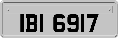 IBI6917