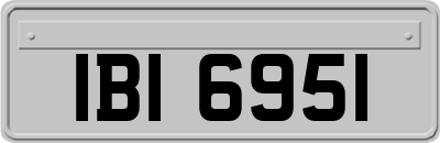 IBI6951