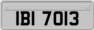 IBI7013