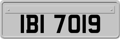 IBI7019