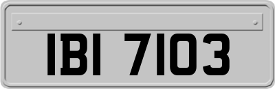 IBI7103