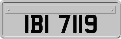 IBI7119