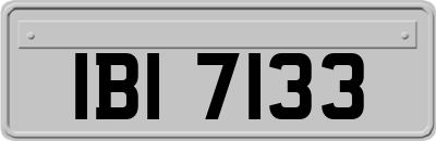 IBI7133