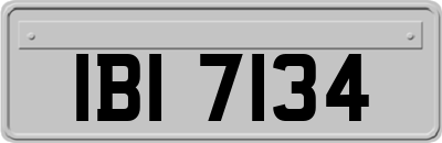 IBI7134