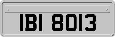 IBI8013