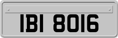 IBI8016