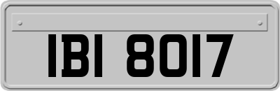 IBI8017