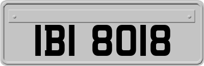 IBI8018