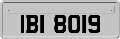 IBI8019