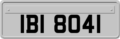 IBI8041