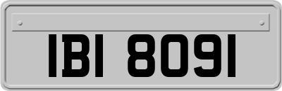 IBI8091