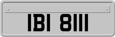 IBI8111