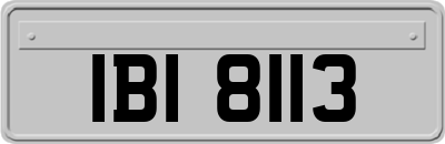 IBI8113