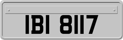 IBI8117