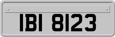 IBI8123