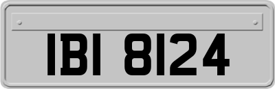 IBI8124