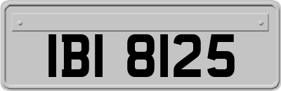 IBI8125