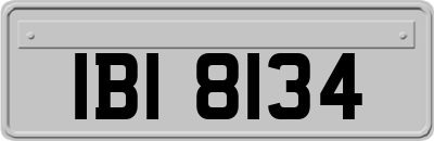 IBI8134