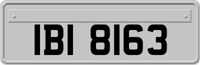 IBI8163