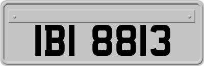 IBI8813