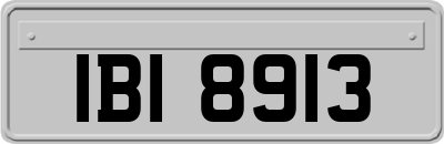 IBI8913