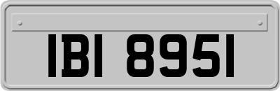 IBI8951