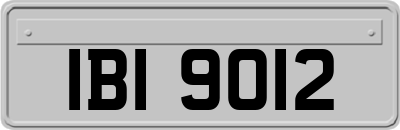 IBI9012