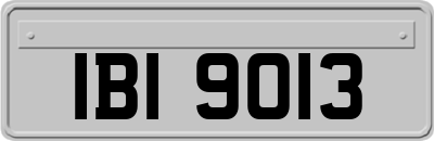 IBI9013