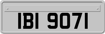 IBI9071